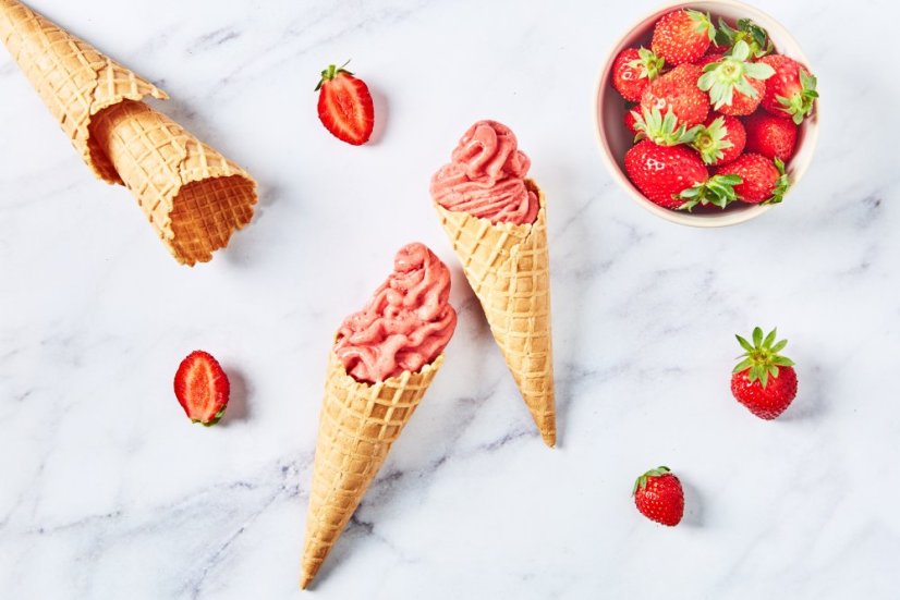 MAGIMIX® Gelato Expert